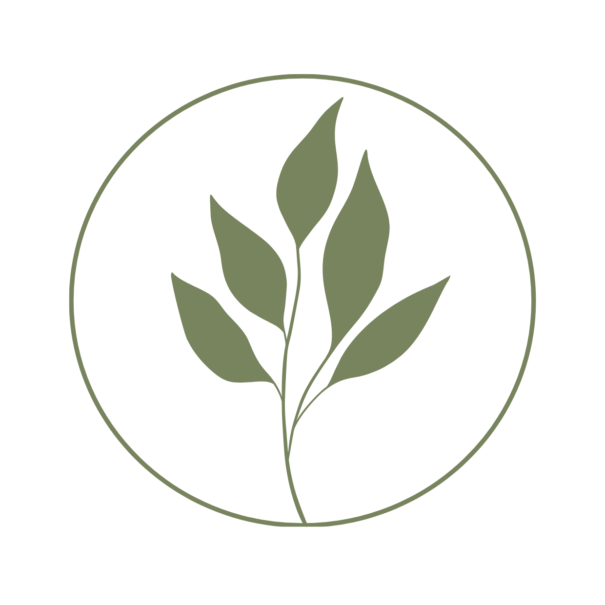 SPIRA ENERGIMEDICIN